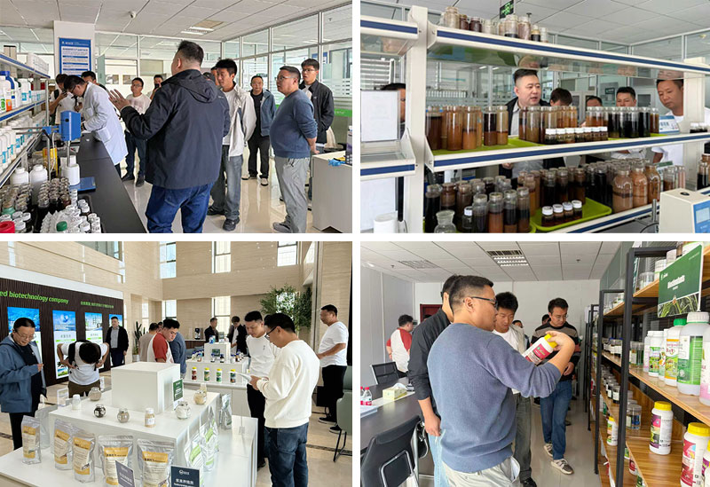 Jinmai Biotech Welcomes Yunnan Delegation for On-Site Visit_03 Jinmai Biotech Welcomes Yunnan Delegation for On-Site Visit_03