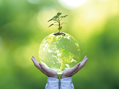 Sustainable and Eco-Friendly Biostimulants