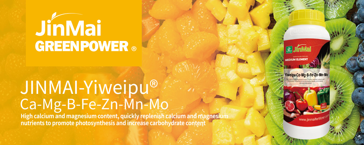 Ca-Mg-B-Fe-Zn-Mn-Mo Fertilizer_01