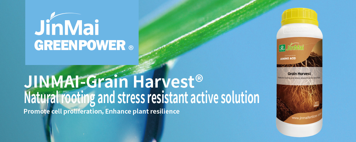 Natural Rooting and Stress Resistant Active Solution Fertilizer