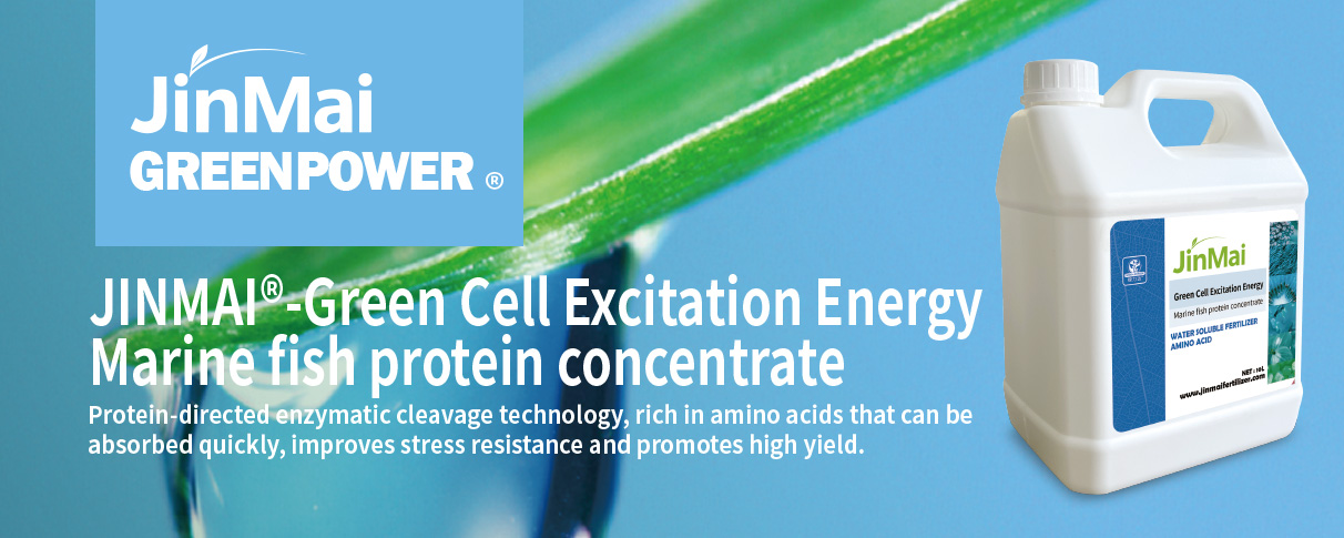 Marine Fish Protein Concentrate