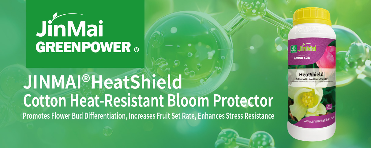 Cotton Heat-Resistant Bloom Protector Fertilizer_01