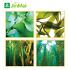 Seaweed Oligosaccharides Fertilizer