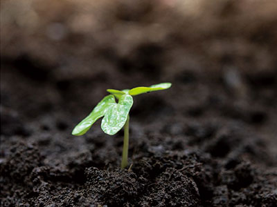 High Concentration Fulvic Acid Active Solution Fertilizer_05