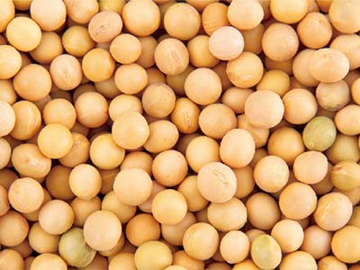 Legume Yield Enhancers Fertilizer_06