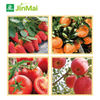 Reproductive Growth Promoter Fertilizer