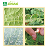 Special For Small Insect Control