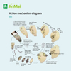 Biocontrol Agent Of Root-Knot Nematode