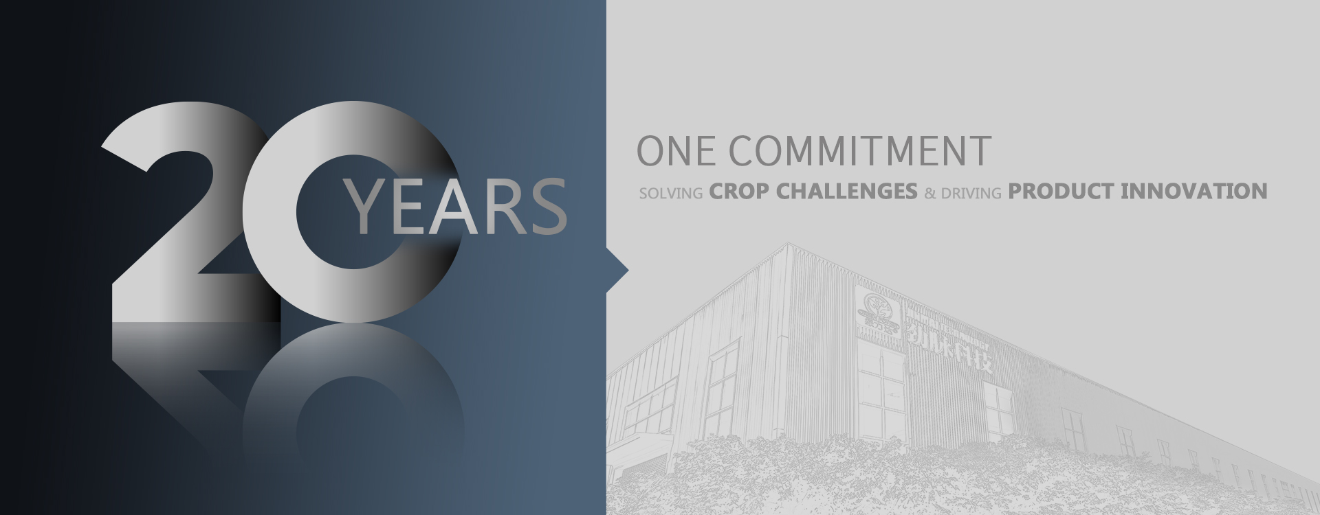 Professional fertilizer factory manufacturing facility China