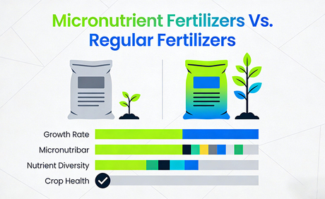 Fertilizantes com micronutrientes vs. Fertilizantes Regulares.jpg