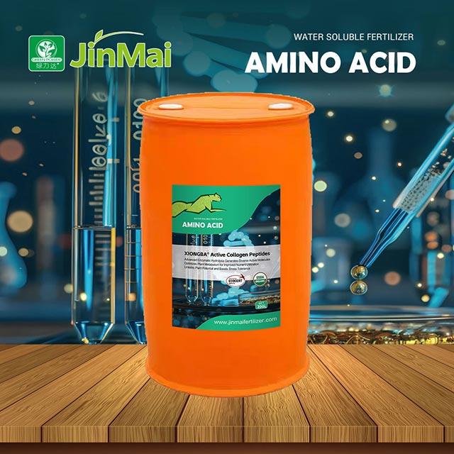 Active Collagen Peptides