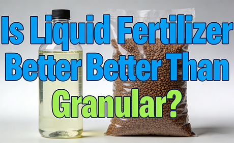 Is Liquid Fertilizer Better Than Granular.jpg