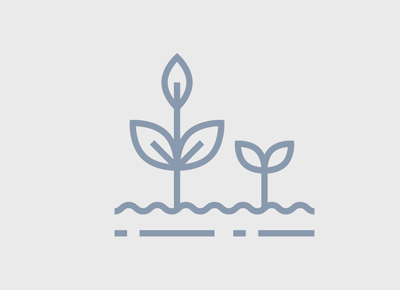 BIOSTIMULANTS