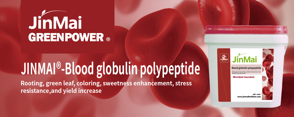 Blood Globulin Polypeptide Fertilizer
