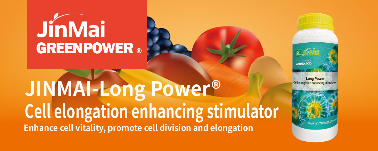 Cell Elongation Enhancing Stimulator Fertilizer_01