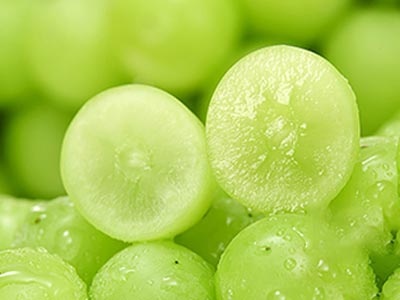 Amino Oligopeptide Organic Potassium Fertilizer_04