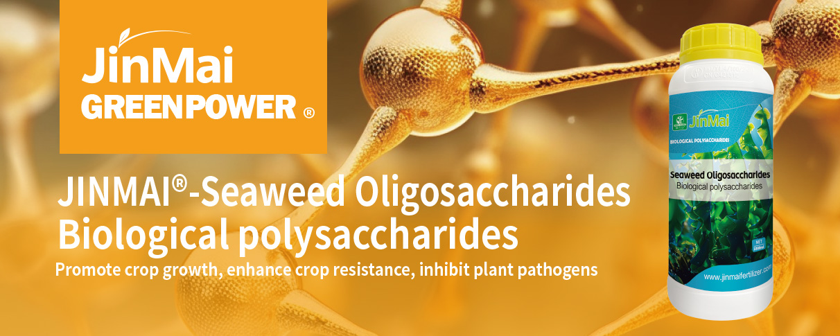 Seaweed Oligosaccharides Fertilizer_01
