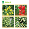 High Efficiency Plant Flower And Fruit Accelerator Fertilizer