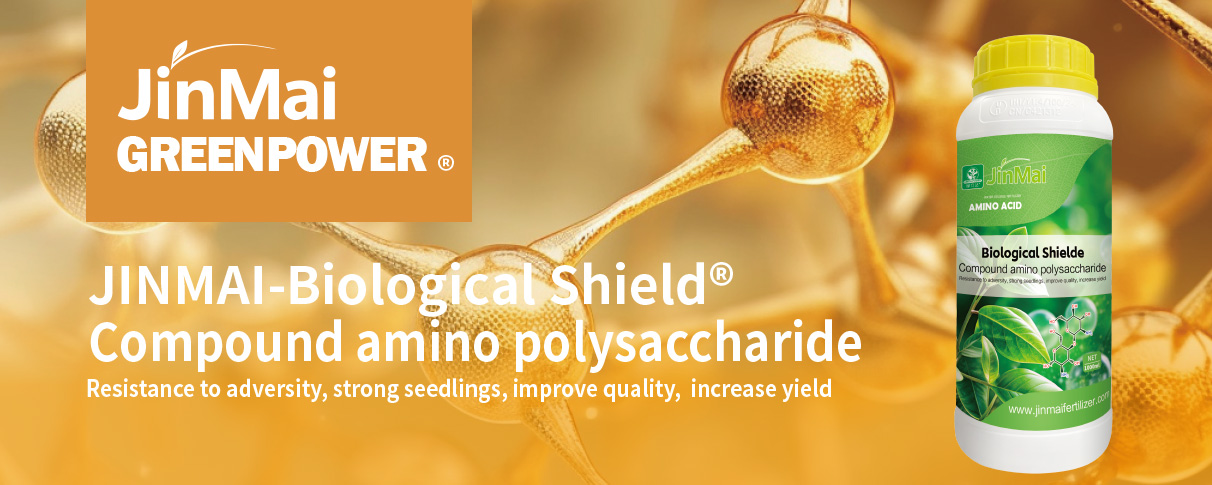 Compound Amino Polysaccharide Fertilizer_01