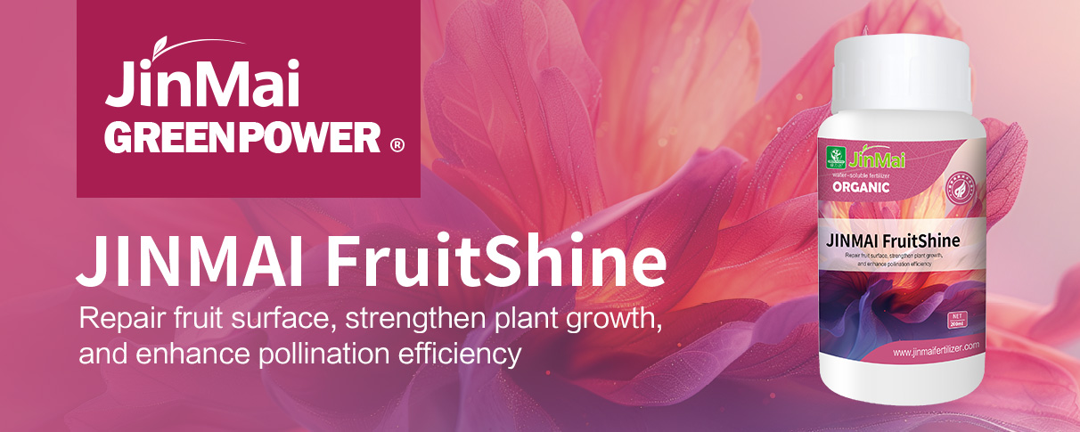 JINMAI FruitShine&reg;_01