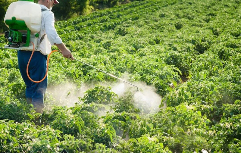 Understanding Amino Acid, Peptide, and Fish Protein Fertilizers_03