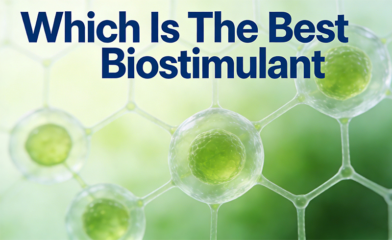 Which Is The Best Biostimulant
