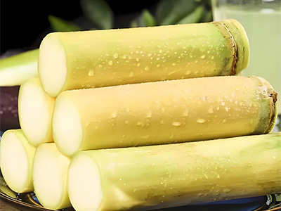 Bio-Extracted Humic Acid_10