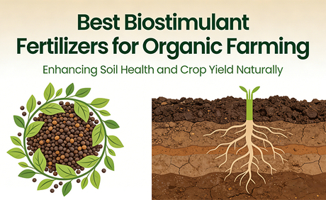 Best Biostimulant Fertilizers for Organic Farming.jpg
