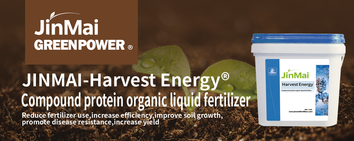 Compound Protein Organic Liquid Fertilizer