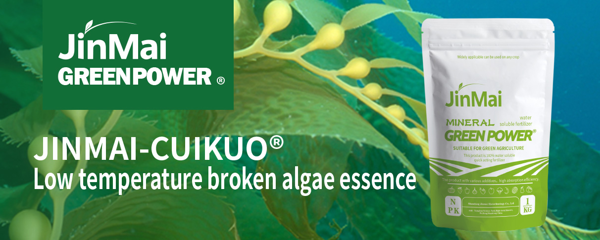 Low Temperature Broken Algae Essence Fertilizer