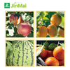 Complex Phosphoramidate Fertilizer