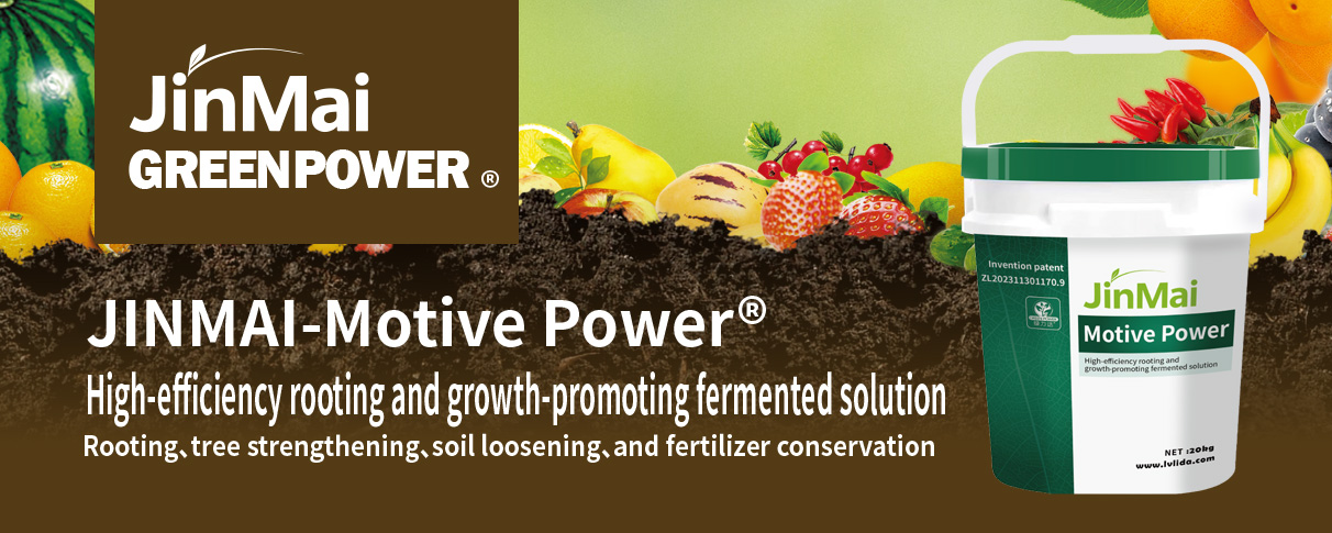 High-Efficiency Rooting And Growth-Promoting Fermented Solution Fertilizer_01