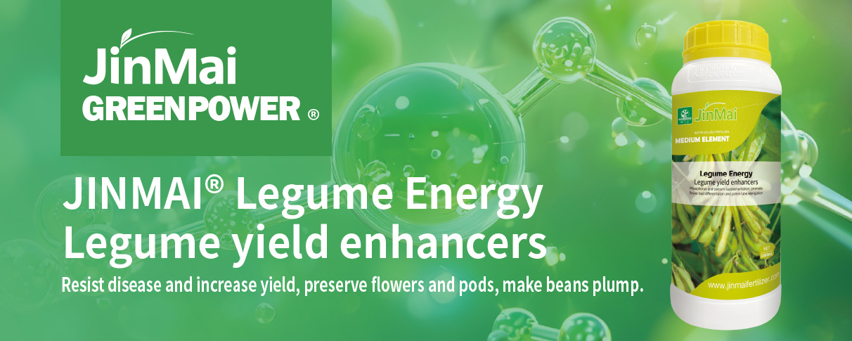 Legume Yield Enhancers Fertilizer_01