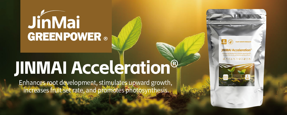 JINMAI Acceleration&reg; Plant Growth Regulator_01