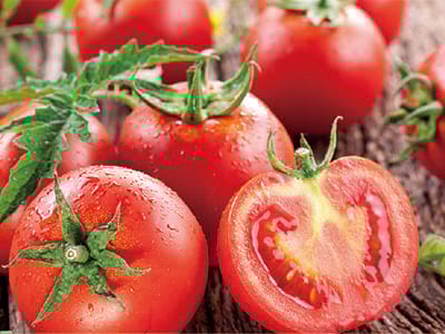 JINMAI FruitShine&reg;_03