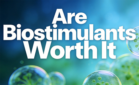 Are Biostimulants Worth It.jpg