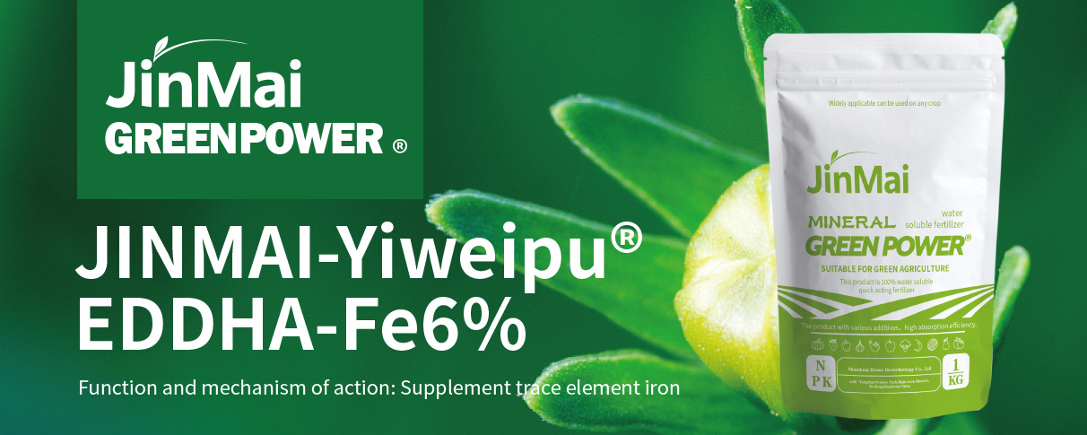 EDDHA-Fe 6% Fertilizer_01
