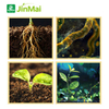Compound Microbial Agent For Manure And Straw Decomposition