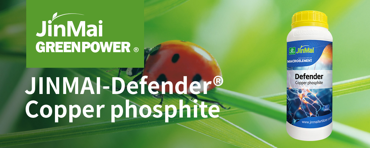Copper Phosphite_01