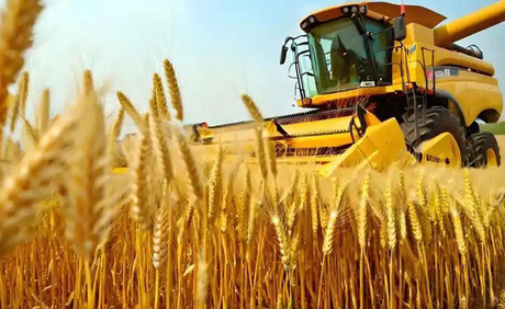 Jinmai Biotech Accelerates 2025 Transformation and Innovation_01.jpg