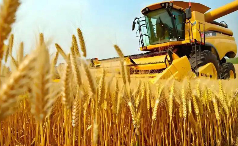 Jinmai Biotech Accelerates Strategic Transformation with Product Restructuring, R&D Integration, and Manufacturing Upgrades in 2025