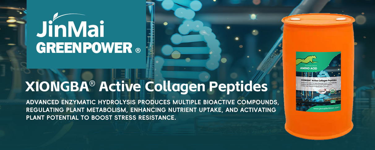 Active Collagen Peptides_01