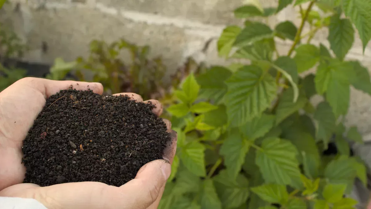 Benefits of Humic Acid Fertilizer