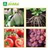 （6个）High Calcium NPK Fertilizer