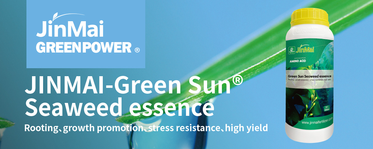 Seaweed Essence Fertilizer