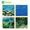 Marine Fish Protein Concentrate Fertilizer