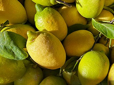 Fruit Coloring Agent Fertilizer_09