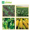 Corn Yield Enhancers Fertilizer