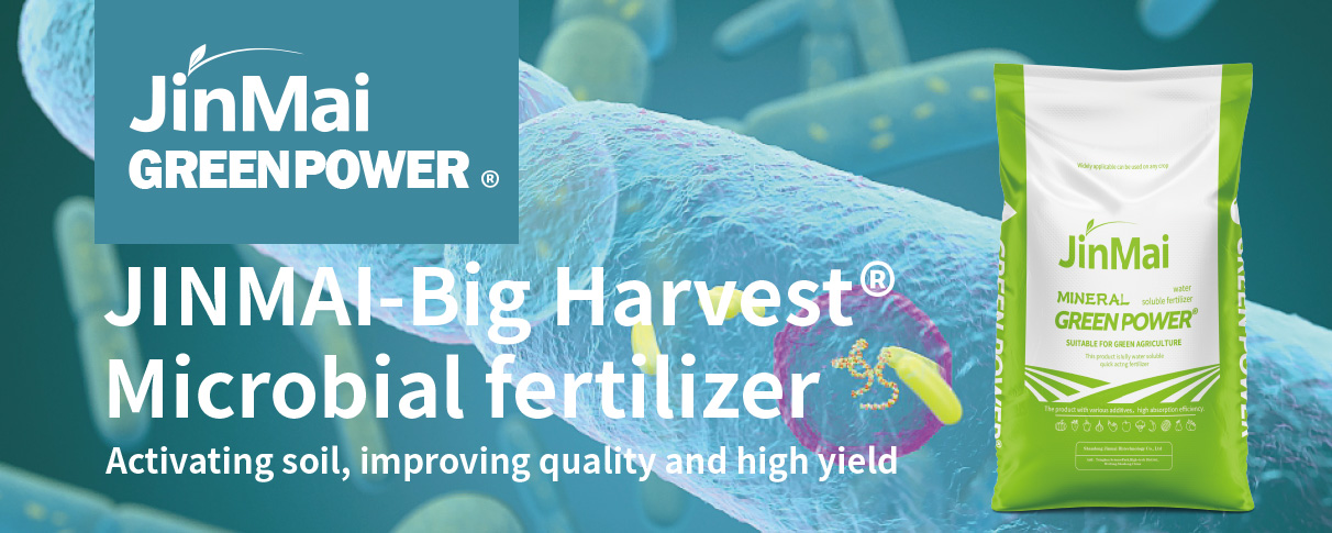 Microbial Fertilizer_01