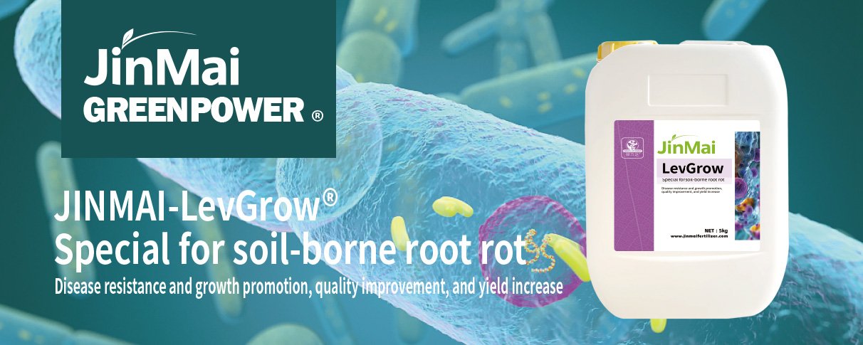 Special For Soil-Borne Root Rot_01